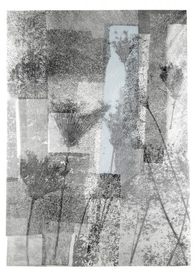 Herbārium III | litografia | 112 x 76 cm | 2016